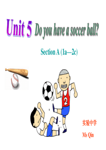 unit5Do-you-have-a-soccer-ball公开课课件