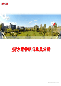 2150100004ERP方案营销与效益分析