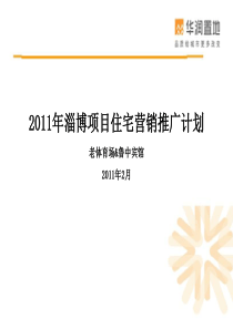 华润置地X年淄博项目住宅营销推广计划