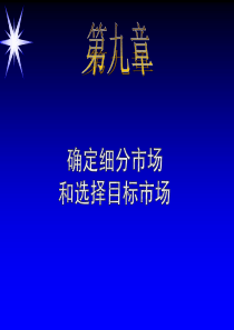 21世纪高级营销主管培训--第九章-确定细分市场和选择目目标市场(ppt 13)