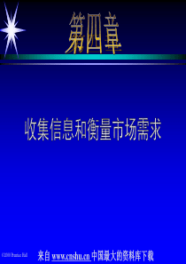 21世纪高级营销主管培训--第四章-收集信息和衡量市场需求(PPT 13)