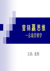 营销赢思维_解决方案_计划解决方案_实用文档