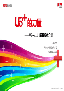 U8v111总体营销培训