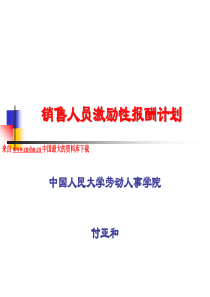 销售人员激励性报酬计划-付亚和