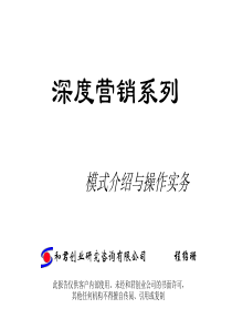 深度营销系列模式介绍与操作实务(ppt51页)（和君创业）