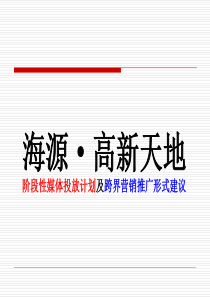 高新天地媒体传播计划及跨界营销形式建议