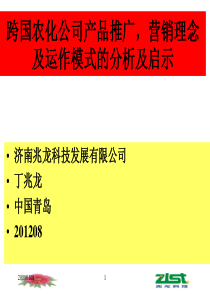 跨国公司产品推广,营销模式分析及启示