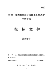 中建·芙蓉嘉苑北区1栋永久性边坡支护施工技术标