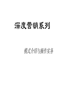 深度营销系列--模式介绍与操作实务（PPT 51页）