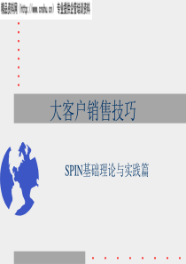 大客户销售技巧之SPIN基础理论与实践篇(ppt)