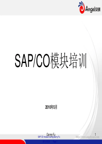 最新_SAP__CO模块培训大全