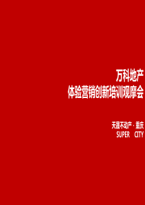 万科地产体验营销创新培训观摩会XXXX-40页