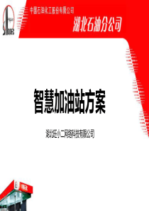 中石化智慧营销方案(510-4)