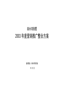 丽水湾别墅营销推广整合方案