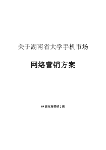 关于湖南省大学手机市场的网络营销方案