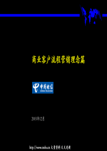 为广东电信总经理级别进行的BPR培训材料（商业客户营销理念）(PPT 101页)