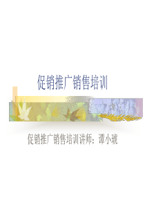 促销推广销售培训