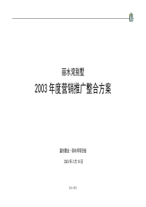 南派丽水湾别墅营销推广整合方案