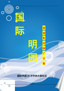 国际名园暂定营销方案