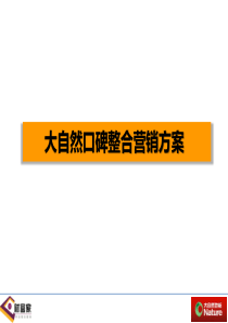 大自然地板口碑营销整合方案