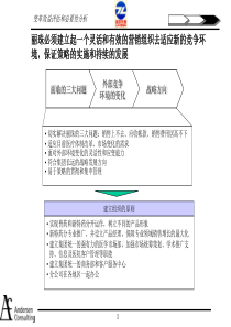 安达信-丽珠-目标营销组织方案报告