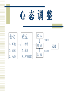 销售技巧之-心态调整(ppt 12)