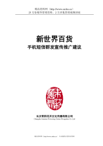 新世界百货短信营销建议方案-12月31日