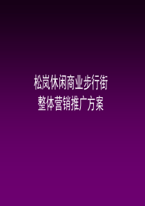 松岚休闲商业步行街整体营销推广方案