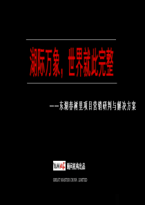 武汉东湖春树里都市综合体项目营销研判与解决方案_86PPT_大家顾问