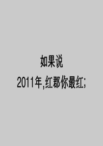 武汉万科红郡XXXX年营销执行方案汇报