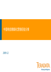 湖北电信行业精细化营销方案