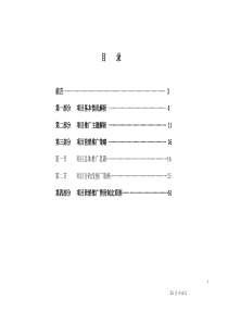 齐鲁花园营销推广方案(DOC62)