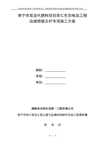 亲仁生态电站工程高边坡(挂网锚喷砼)专项施工方案