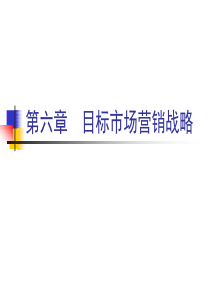 《市场营销学》第六章 目标市场营销战略