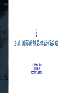 【房地产】王志纲：东山国际新城总体营销战略终稿