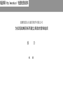 ××软件有限公司为实现战略目标而建立高效的营销组织（PPT167页）