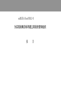 为实现战略目标而建立高效的营销组织(PPT167页)