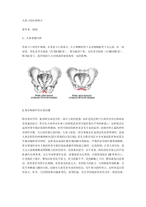 人机工程分析例子