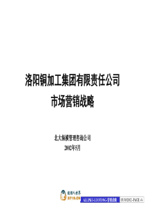 洛铜集团营销战略报告