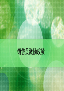 销售员激励政策