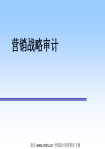 营销战略审计(ppt 21)(1)