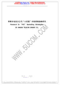 邯郸市电信分公司“小灵通”市场营销战略研究