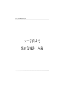 【房地产精品资料】大十字商业街营销（上）