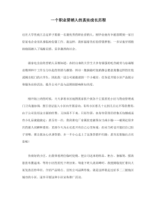 一个职业营销人的真实成长历程(doc5)(1)