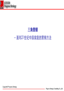 三角营销-面向21世纪中国家庭的营销方法(2)