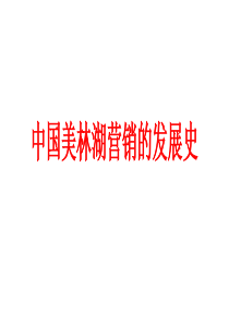 中国美林湖营销的发展史（PPT45页)