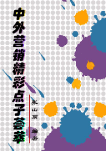 中外营销精彩点子荟萃(pdf  280)