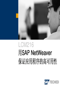 用sap netweaver 保证应用程序的高可用性pdf