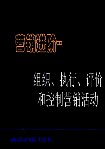 公司组织、执行、评价与控制营销活动