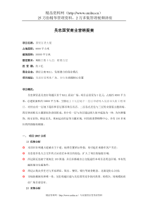 吴忠国贸商业营销提案